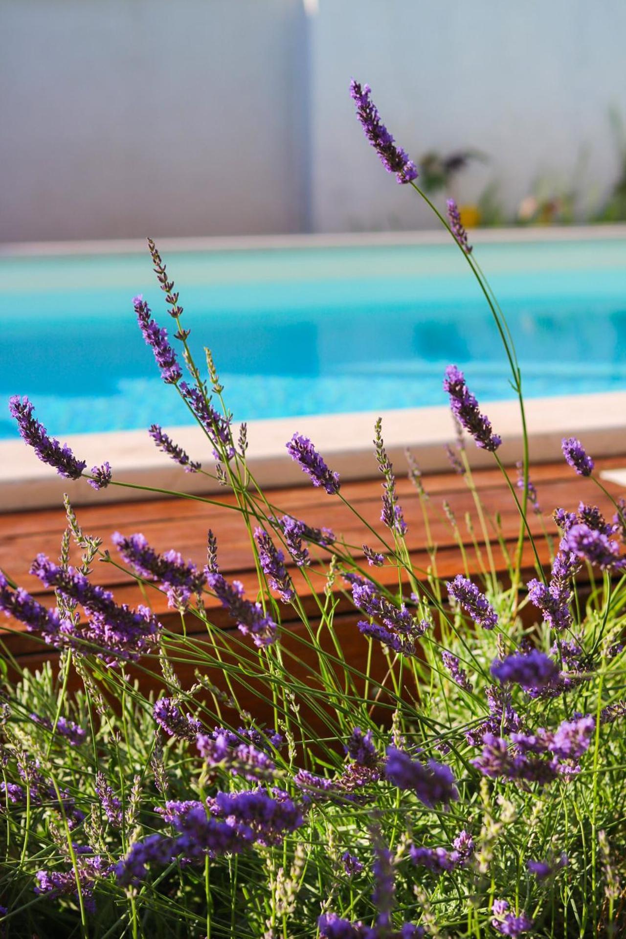 מליני Villa My Rose With A Private Pool מראה חיצוני תמונה